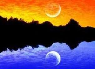 Observe – Nature has all the answers! Version&nbsp;1.0