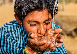 Observe – Nature has all the answers! Version&nbsp;3.0